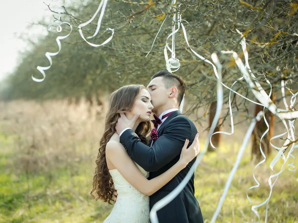 Casamento casal e fitas na árvore — Fotografia de Stock