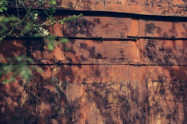 Ağaç dalı demir zemin üzerine