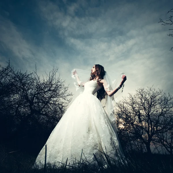 Beautiful bride in dusk — Stock Photo, Image