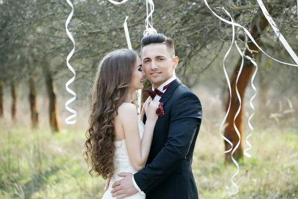 Свадебная пара и ленты на дереве — стоковое фото