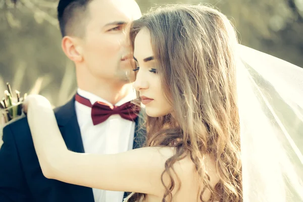 Matrimonio abbracciando coppia — Foto Stock