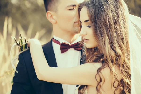 Wedding embracing couple — Stock Photo, Image