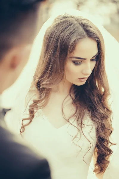 Sensual wedding couple — Stock Photo, Image