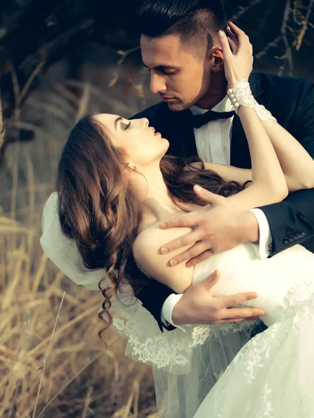 Sensual wedding couple — Stock Photo, Image