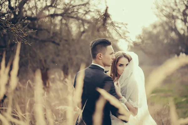 Matrimonio coppia all'aperto — Foto Stock