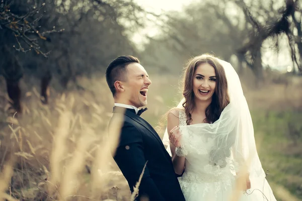 Wedding couple outdoor — Stock Photo, Image