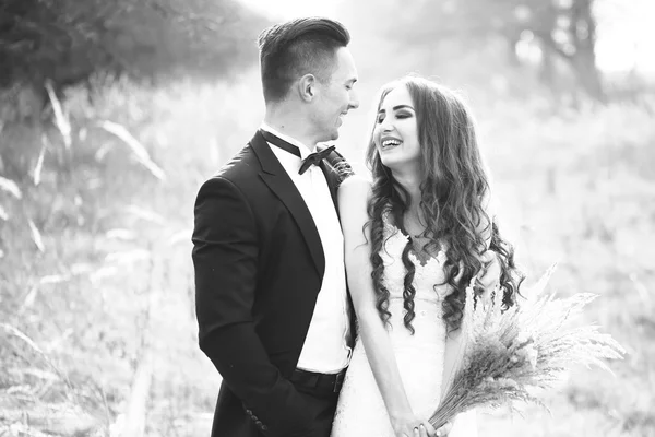 Feliz boda pareja al aire libre —  Fotos de Stock