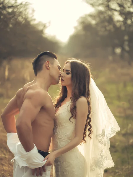 Sexy wedding couple — Stock Photo, Image