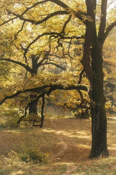 Живописный пейзаж осенней осени — стоковое фото