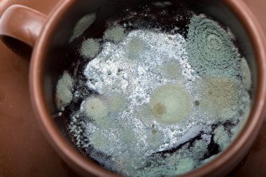 Gri toz kahve Kupası