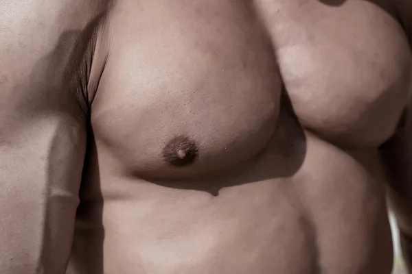 섹시 한 남자의 근육 흉상 — 스톡 사진