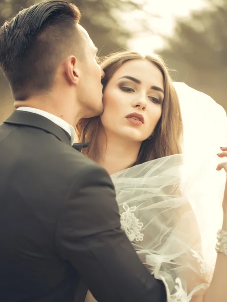 Sensual wedding couple — Stock Photo, Image