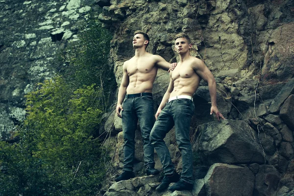 Svalnatá dvojčata v horských — Stock fotografie