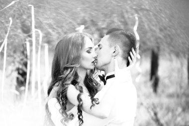 Düğün çift öpüşme