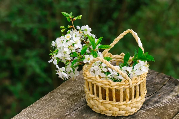 Flores blancas en la cesta — Foto de Stock