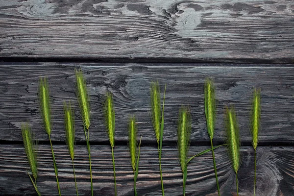 Herbe verte sur panneau en bois — Photo