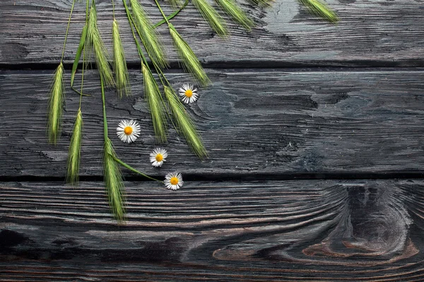 Ramo salvaje sobre tabla de madera — Foto de Stock