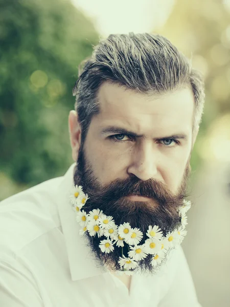 Hombre guapo con flores en barba — Foto de Stock