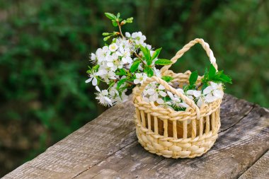 Sepet içinde beyaz çiçekleri