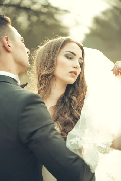 Sensuele bruidspaar — Stockfoto