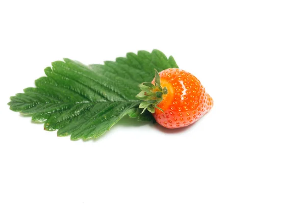 Fraise avec feuille isolée sur blanc — Photo