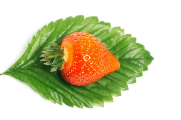 Strawberry with leaf isolated on white — Stock Photo, Image