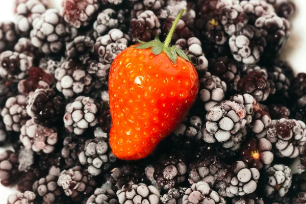 Gefrorene Brombeeren und frische Erdbeeren — Stockfoto