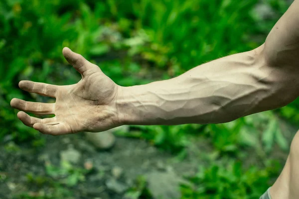Mão muscular com veias — Fotografia de Stock