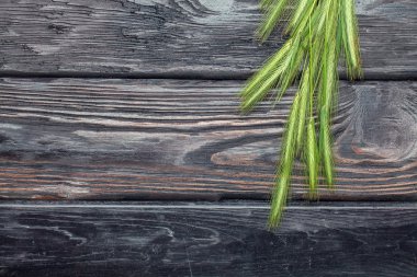 Yeşil çimenlerin üzerinde ahşap tahta