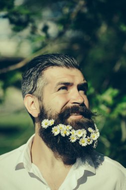 Sakallı yakışıklı adam.