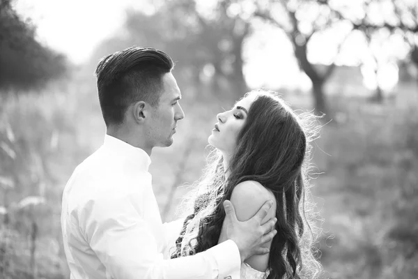 Joven pareja de boda — Foto de Stock