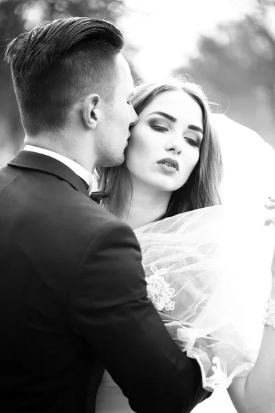 Sensual wedding couple — Stock Photo, Image