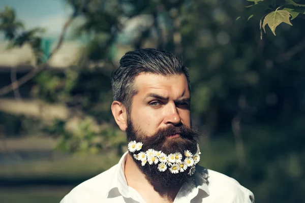 Όμορφος άντρας με λουλούδια στη γενειάδα — Φωτογραφία Αρχείου