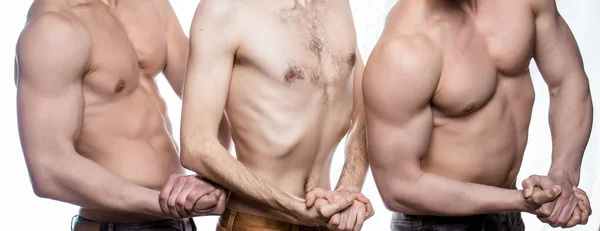 Štíhlý a svalnatý muži představují — Stock fotografie