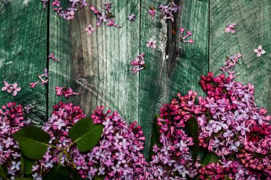 Ahşap tahta üzerinde Eflatun çiçekler
