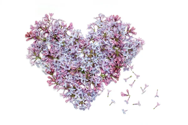 Flores de lilás em forma de coração — Fotografia de Stock