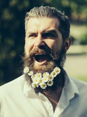 Sakallı yakışıklı adam.