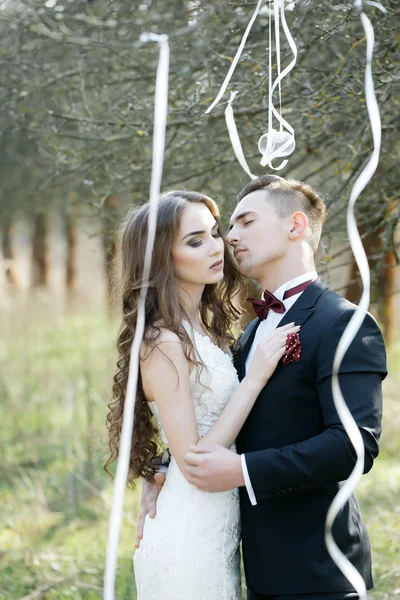 新婚夫妇和树上的丝带 — 图库照片