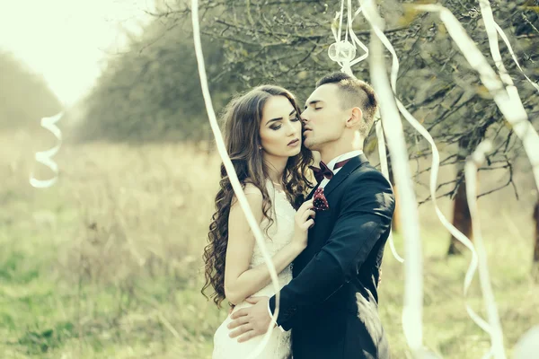 Hochzeitspaar und Schleifen am Baum — Stockfoto