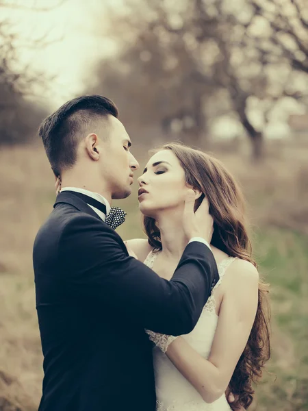 Happy wedding couple — Stock Photo, Image