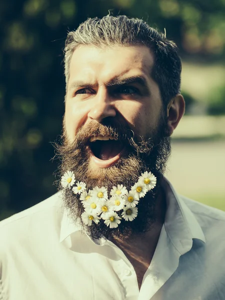 Homem bonito com flores na barba — Fotografia de Stock