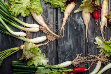 Salata için taze sebze.