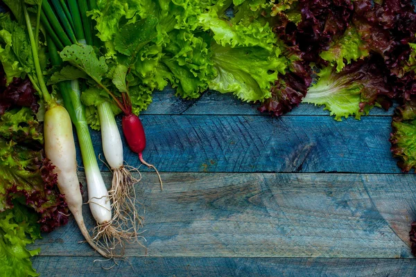 Taze soğan turp ve salata