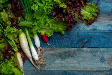 Taze soğan turp ve salata