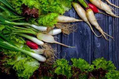 Taze soğan turp ve salata