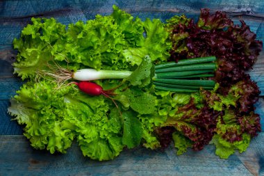 Taze salata yeşil soğan ve turp