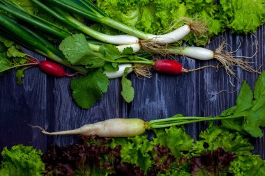 Taze soğan turp ve salata