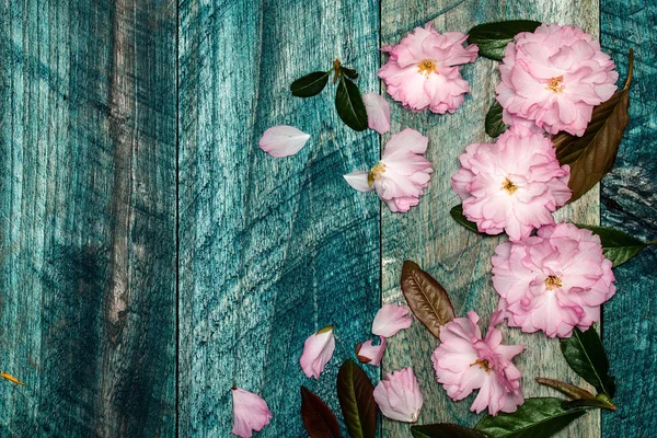 在木板上的樱花 — 图库照片