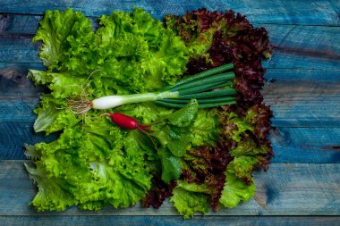 Taze salata yeşil soğan ve turp