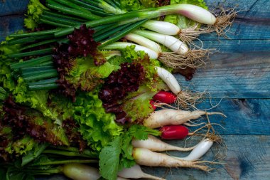 Taze soğan turp ve salata